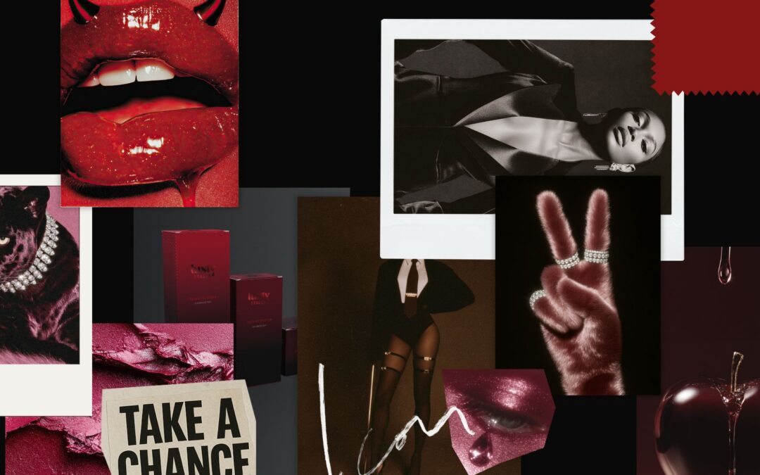 Is DAMNE BRANDS the right brand designer for you?